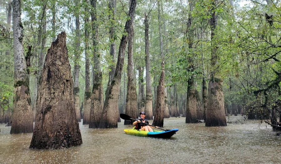 A woman kayaks in the bayou near New Orleans