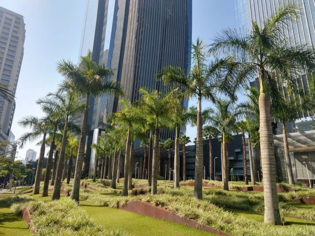 Green space amidst skyscrapers in Sao Paulo