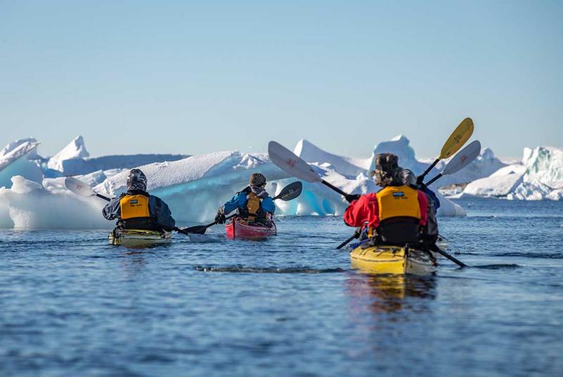 kayakers admiring glaciers during an Antarctica trip with Intrepid Travel and Wanderful