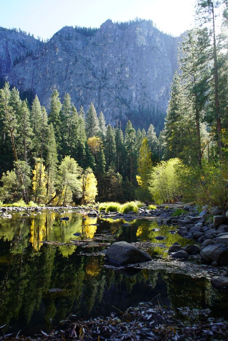 A serene natural view of still water reflecting trees in Yosemite National Park