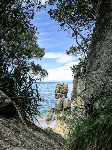 View through the trees to the beach in New Zealand - photo by Larissa Rolley, photography course creator at Wanderful