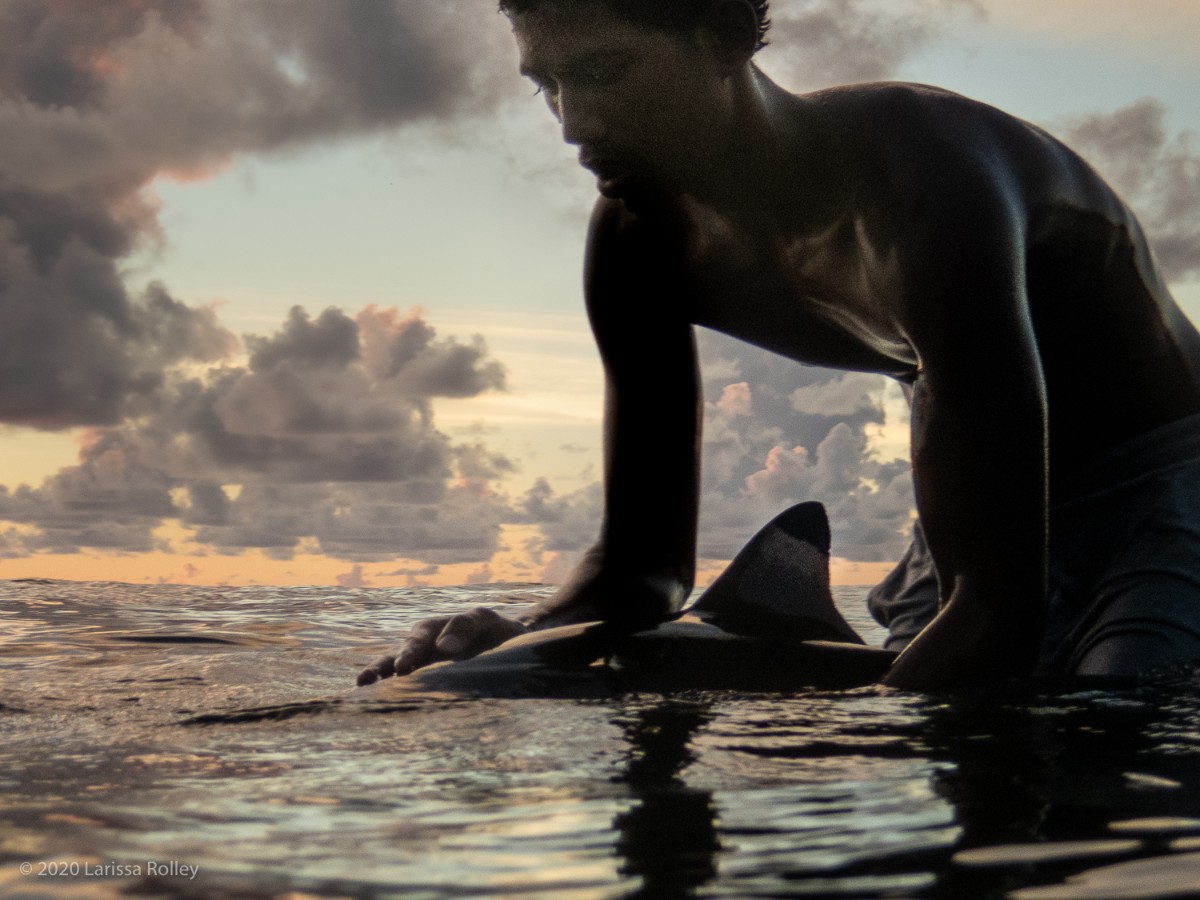 A man playing with a dolphin at the water's surface in Tahiti with a sunset cloudy sky - photo by Larissa Rolley, photography course creator at Wanderful
