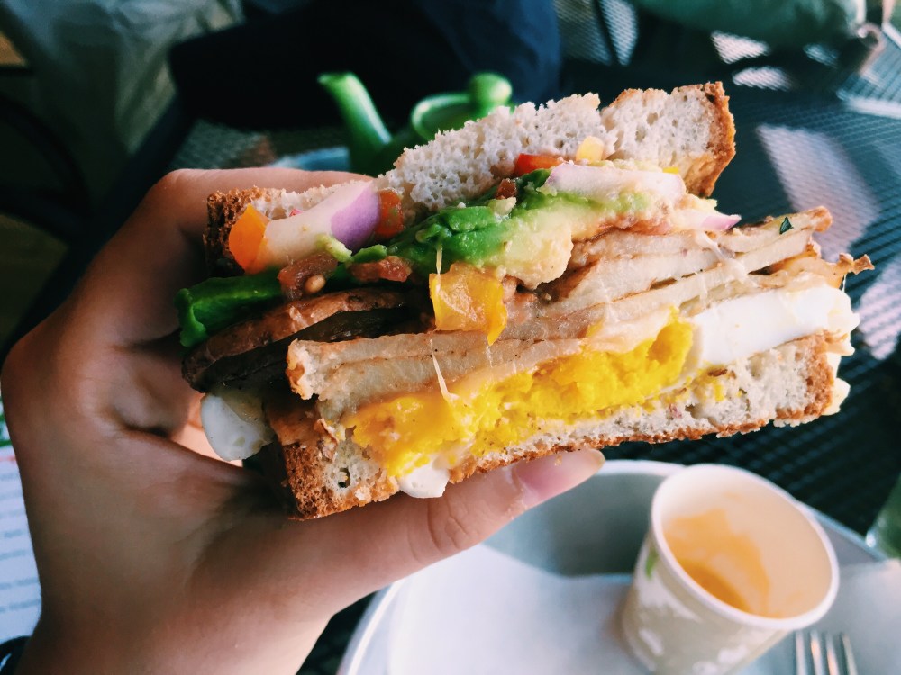 gluten-free sandwich close-up from Sarah Bence of Endless Dsitances